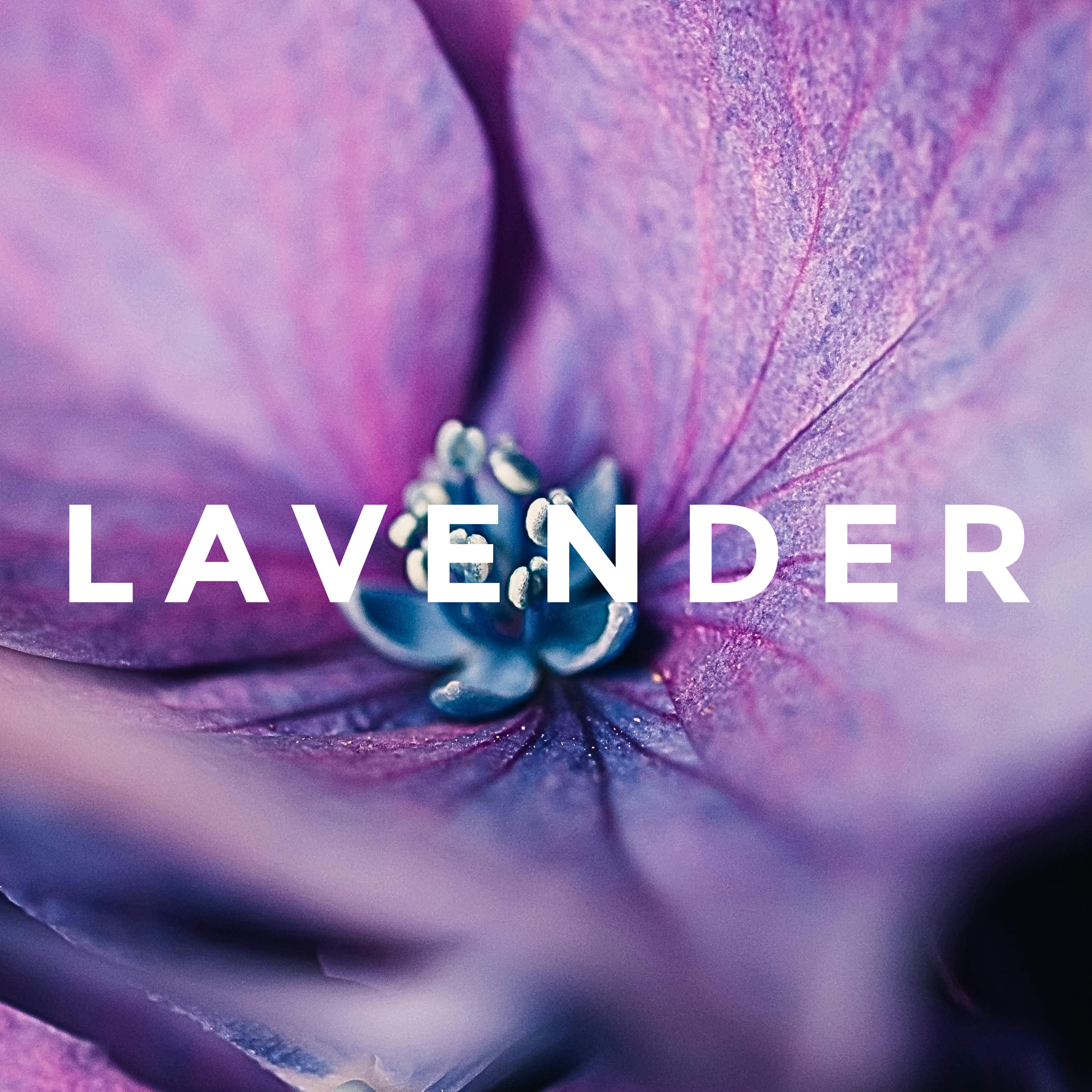 Natural Lavender Essential Oil